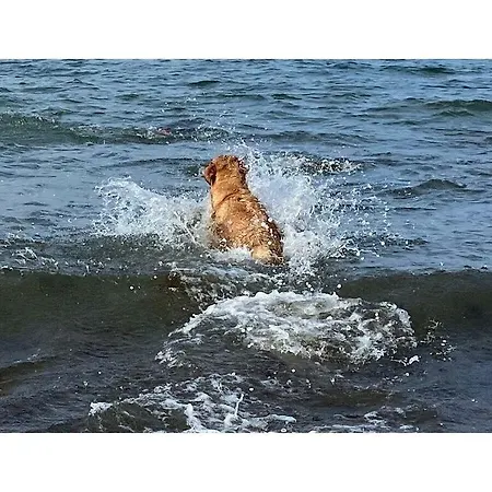 Σπίτι διακοπών Bij De Open Haard In Het 