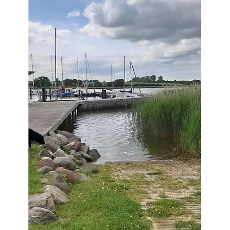 Bij De Open Haard In Het 