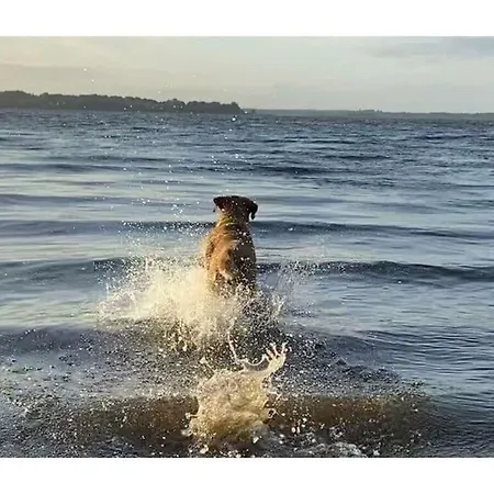 Bij De Open Haard In Het 